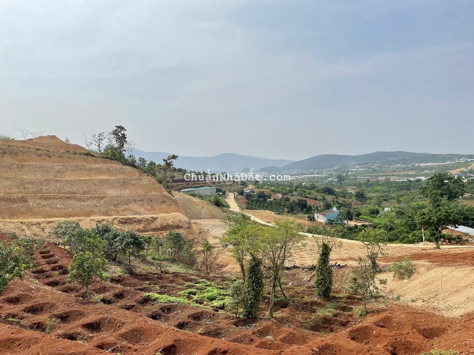 Giảm giá 300 triệu bán lỗ sâu lô đất thị trấn Nam Ban có sẵn thổ cư.