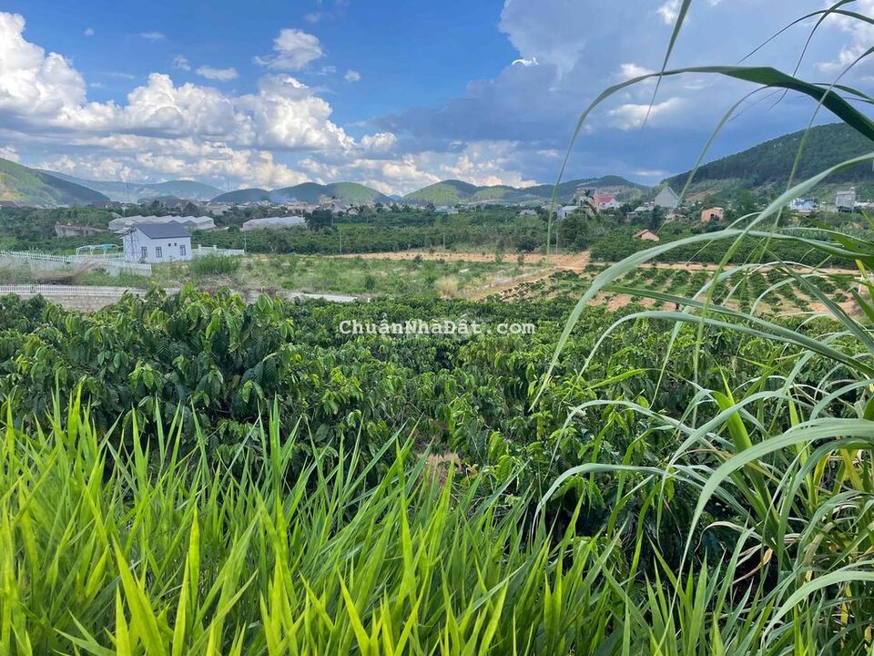 Bán lô đất mặt đường nhựa, đối diện KDL chuồn chuồn cách DT 725 600m