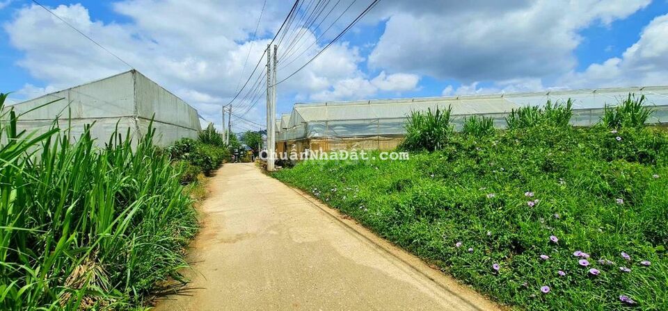 Bán đất sổ riêng full thổ cư 190m ngay trung tâm thị trấn lạc dương