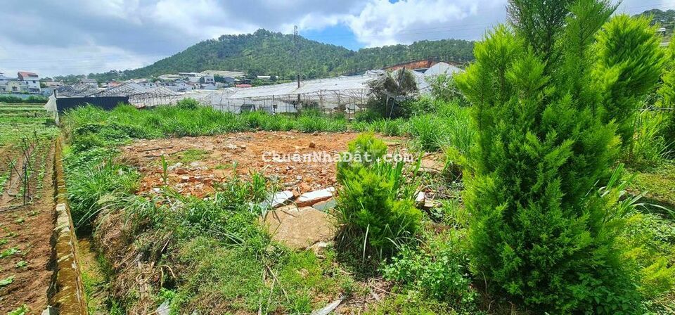 Bán đất sổ riêng full thổ cư 190m ngay trung tâm thị trấn lạc dương