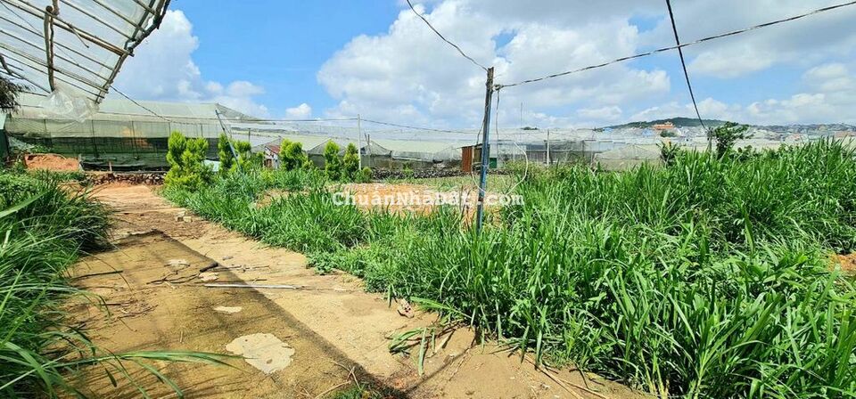 Bán đất sổ riêng full thổ cư 190m ngay trung tâm thị trấn lạc dương