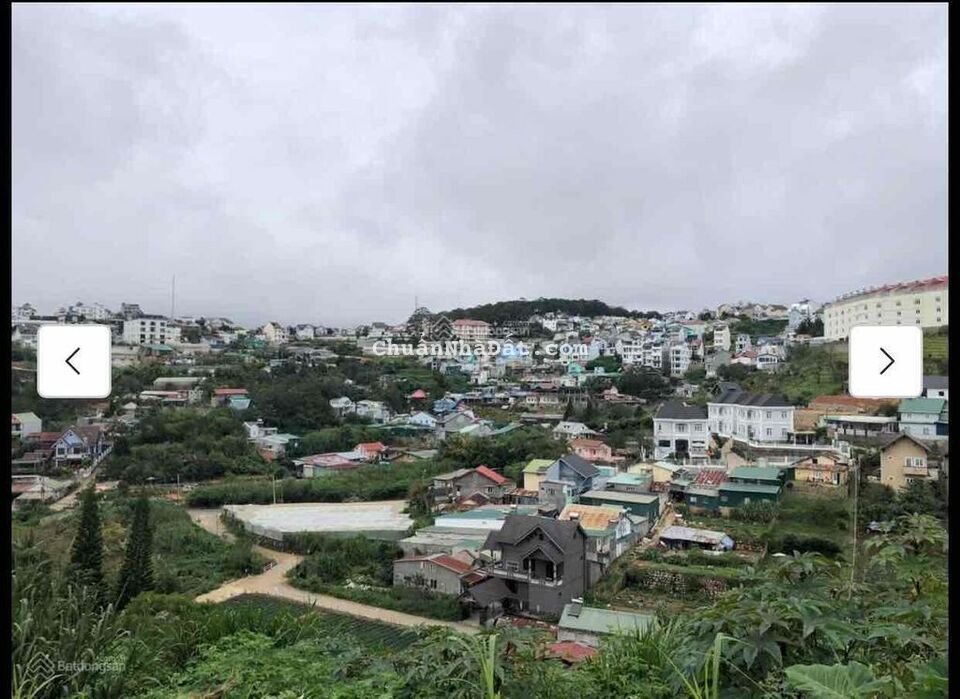 Cần Bán Gấp Đất Ở Lạc Dương View Đồi Thông