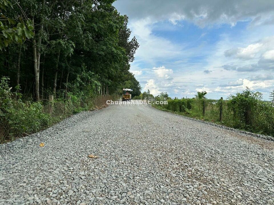 Bán 1000m2 view hồ nghĩ dưỡng tại Lộc Ninh, Bình Phước Bán 1000m2 view hồ nghĩ dưỡng tại Lộc Ninh, Bình Phước