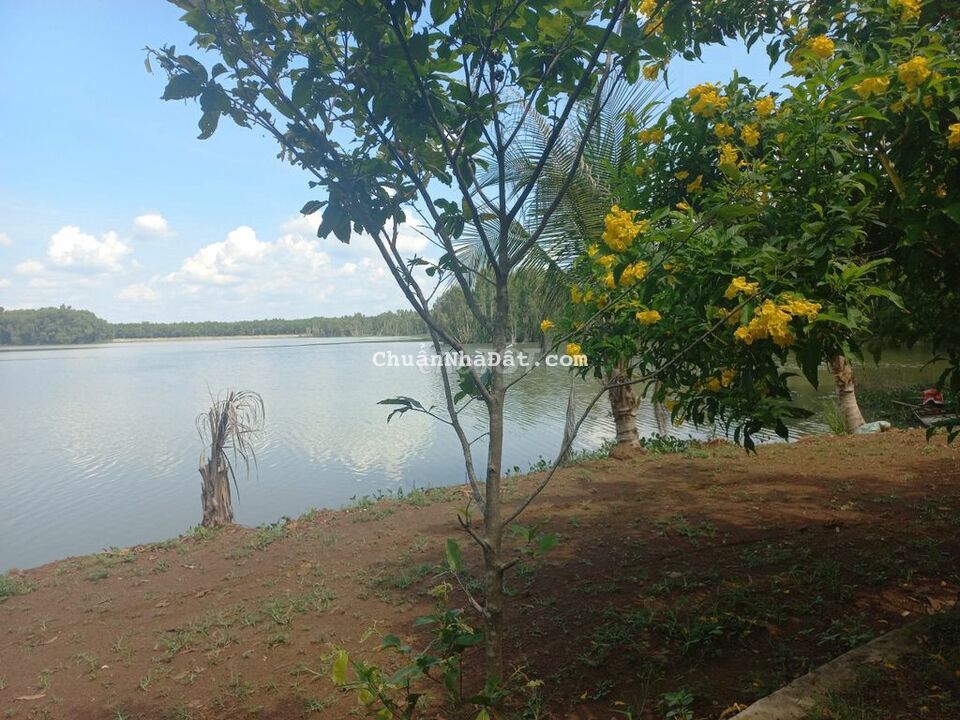 Bán đất sào 2000 m2 view hồ sinh thái, đẹp  Lộc Ninh, Bình Phước