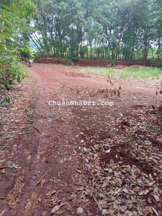 2.99 - 210tr đất Bình Phước full sổ hồng, xã Lộc An, Lộc Ninh, Bình Phước