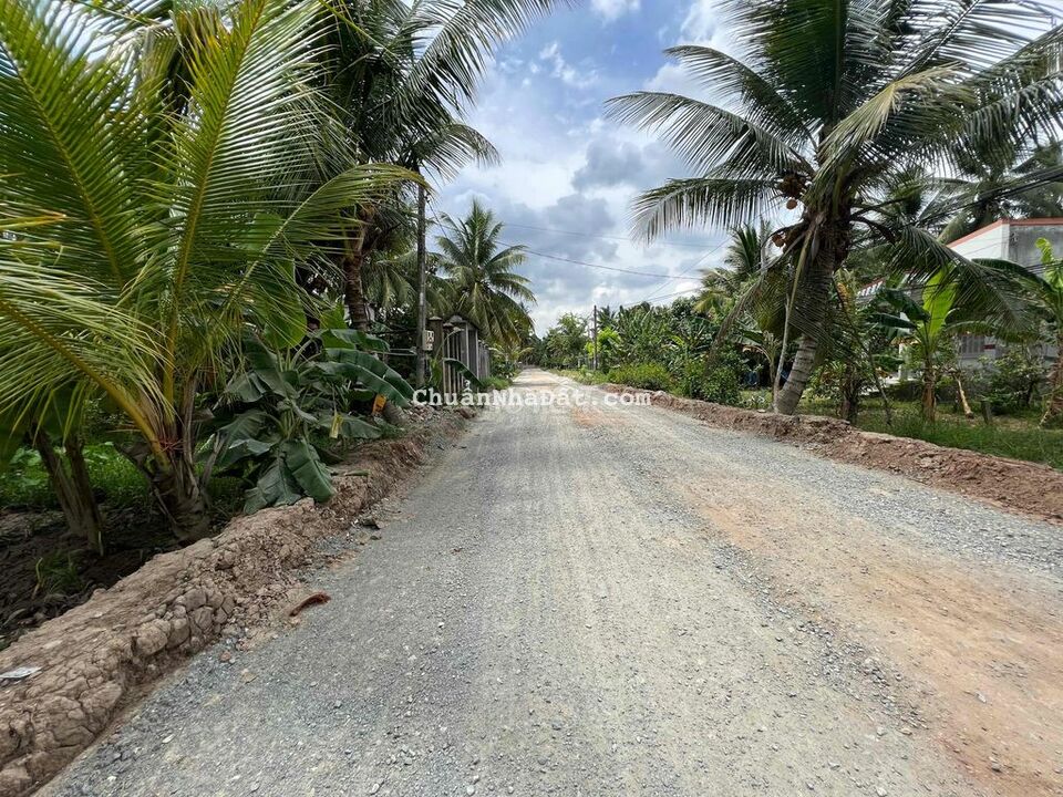 Bán 2225m2 đất vườn có sẵn nhà cấp 4 Thanh Tân, Mỏ Cày Bắc, Bến Tre Bán 2225m2 đất vườn có sẵn nhà cấp 4 Thanh Tân, Mỏ Cày Bắc, Bến Tre