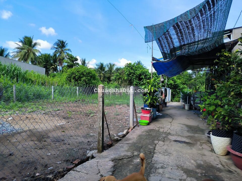 ĐẤT NỀN HẺM 1 PHẠM HÙNG - TRUNG AN - VLXD THÀNH  HIẾU  - 3p PHẠM HÙNG.