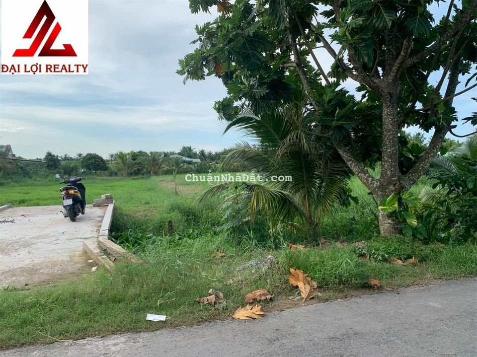 ĐẤT MẶT TIỀN HUYỆN LỘ 90C, LONG HÒA A, XÃ ĐẠO THẠNH, TP MỸ THO