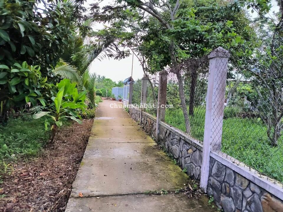 ĐẤT GẦN 50M HUYỆN 94C - THỚI SƠN - ĐẤT Ở ĐÔ THỊ 502M² - ĐƯỜNG BÊ TÔNG ĐẤT GẦN 50M HUYỆN 94C - THỚI SƠN - ĐẤT Ở ĐÔ THỊ 502M² - ĐƯỜNG BÊ TÔNG