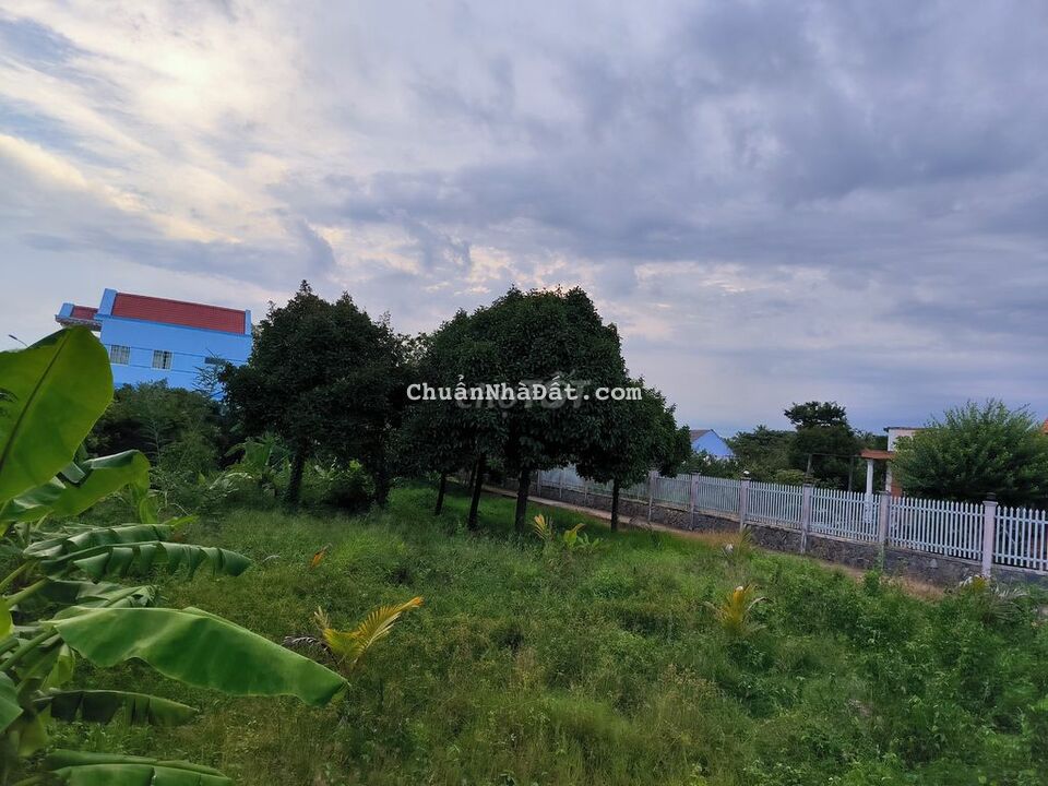 ĐÂT MẶT TIỀN THỚI SƠN - HUYỆN 94C - ĐẤT Ở ĐÔ THỊ 499M² - ĐƯỜNG BÊ TÔNG ĐÂT MẶT TIỀN THỚI SƠN - HUYỆN 94C - ĐẤT Ở ĐÔ THỊ 499M² - ĐƯỜNG BÊ TÔNG