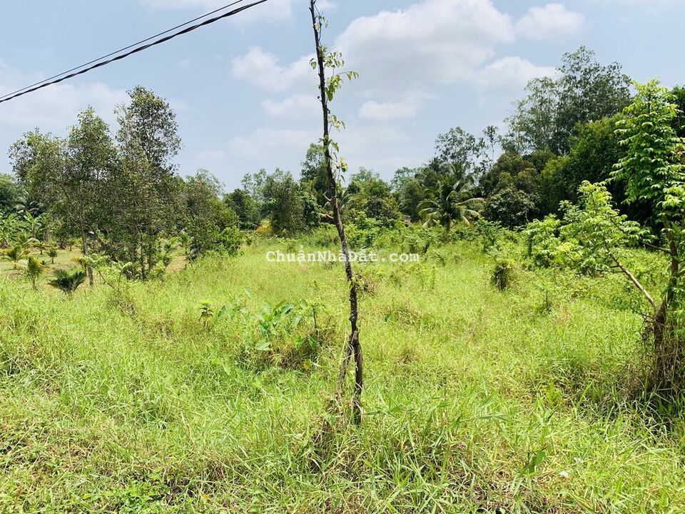 Bán 1.389m2 đất mặt tiền đường Tỉnh 927C thuộc TX. Ngã Bảy, Hậu Giang