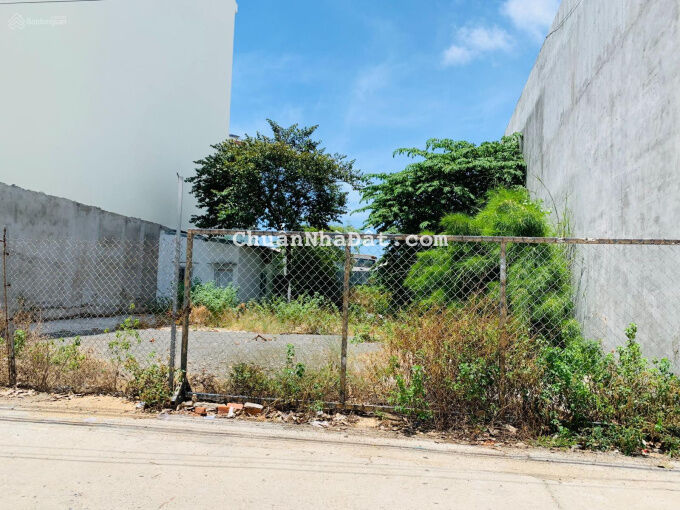 Đất hẽm tuệ tĩnh-nguyễn thiện thuật cực đẹp