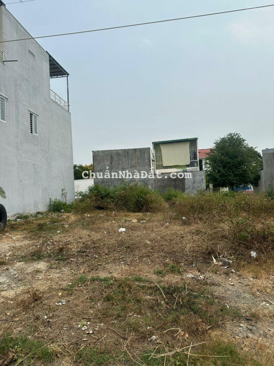 Bán đất Vĩnh Thái khu tái định cư Đất Lành đường lớn 16m gần Phong Châu Bán đất Vĩnh Thái khu tái định cư Đất Lành đường lớn 16m gần Phong Châu