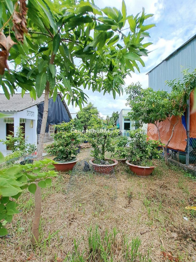 BÁN ĐẤT 157 M2 ĐƯỜNG NGUYỄN BÌNH , XÃ PHÚ XUÂN , NHÀ BÈ.