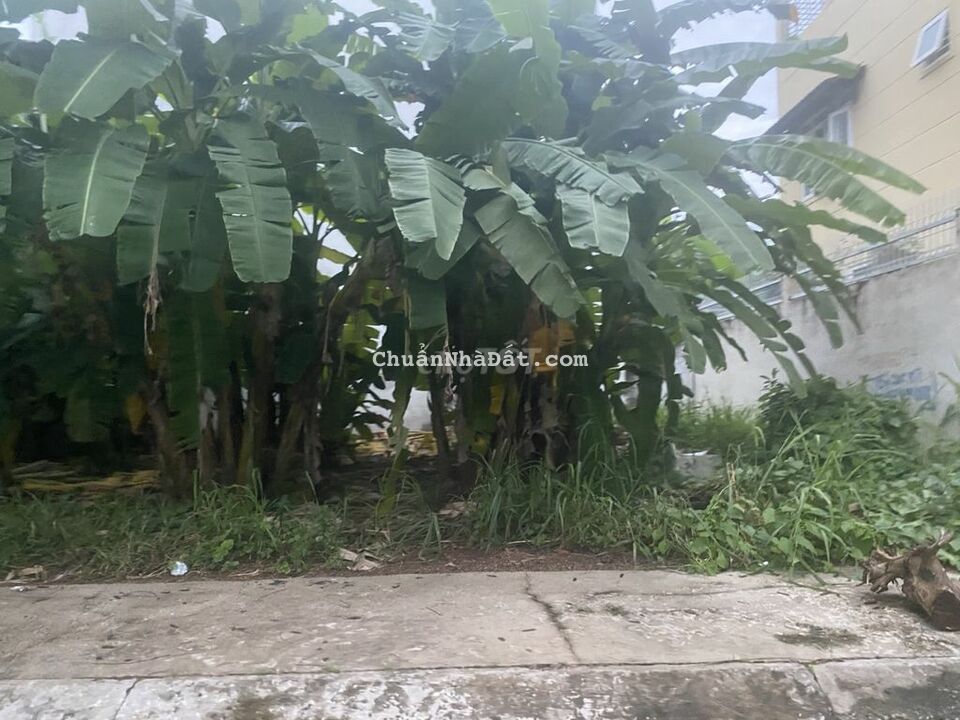 KHÔNG CÓ MIẾNG THỨ 2- CHỈ 26TR/M2- 330M2-NỞ HẬU-FULL THỔ-XE HƠI TRÁNH