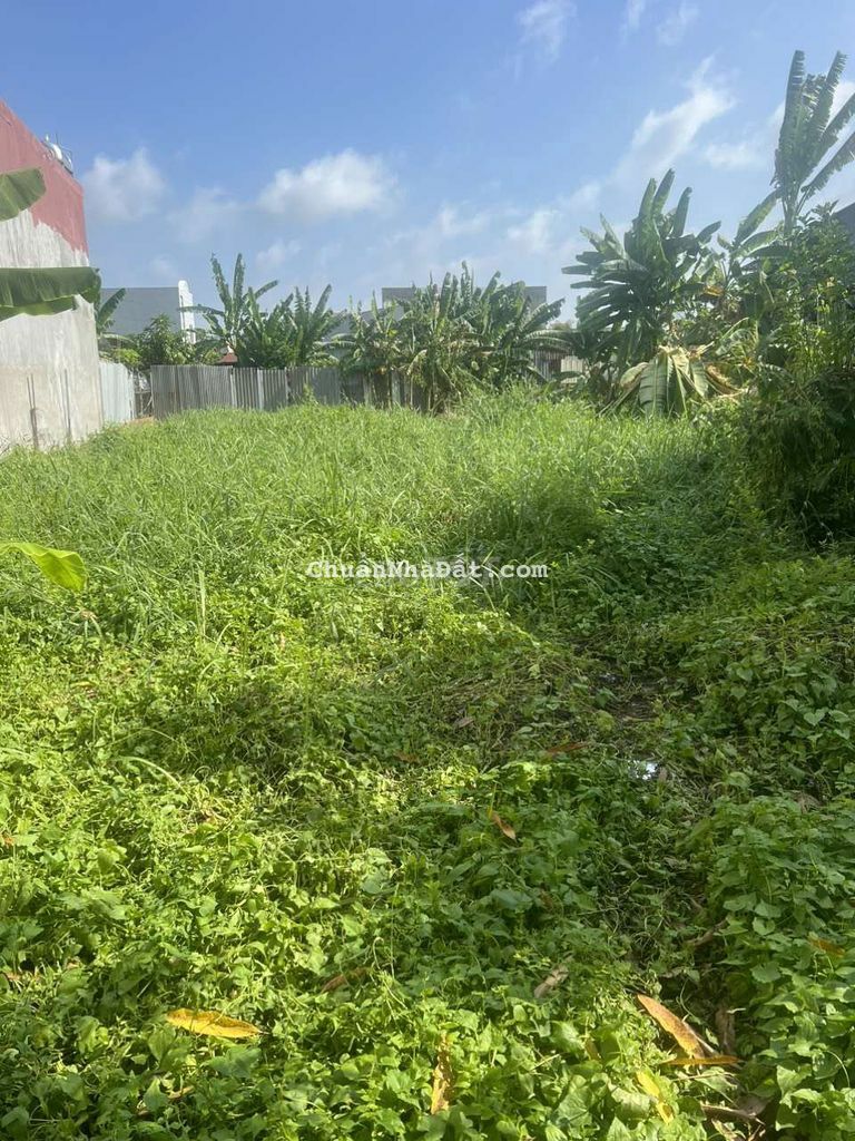 Bán đất thị trấn nhà bè 100% cư .giá tốt