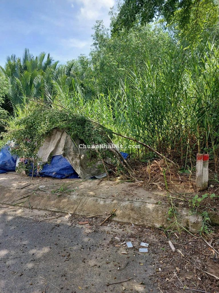 BÁN ĐẤT 7X11 KDC ĐƯỜNG LÊ VĂN LƯƠNG, NHÀ BÈ.