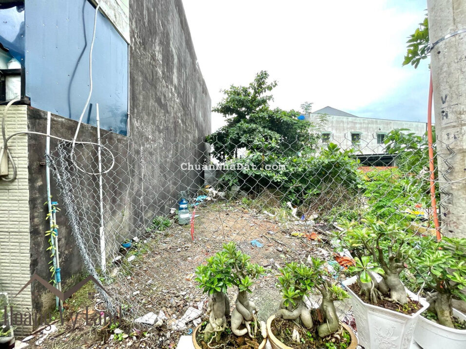 Lô Đất KDC 1982 Huỳnh Tấn Phát Nhà Bè-DT 5,97x16M-Đường Trước Đất 6M-KDC Hiện Hữu-LH : 0768678978