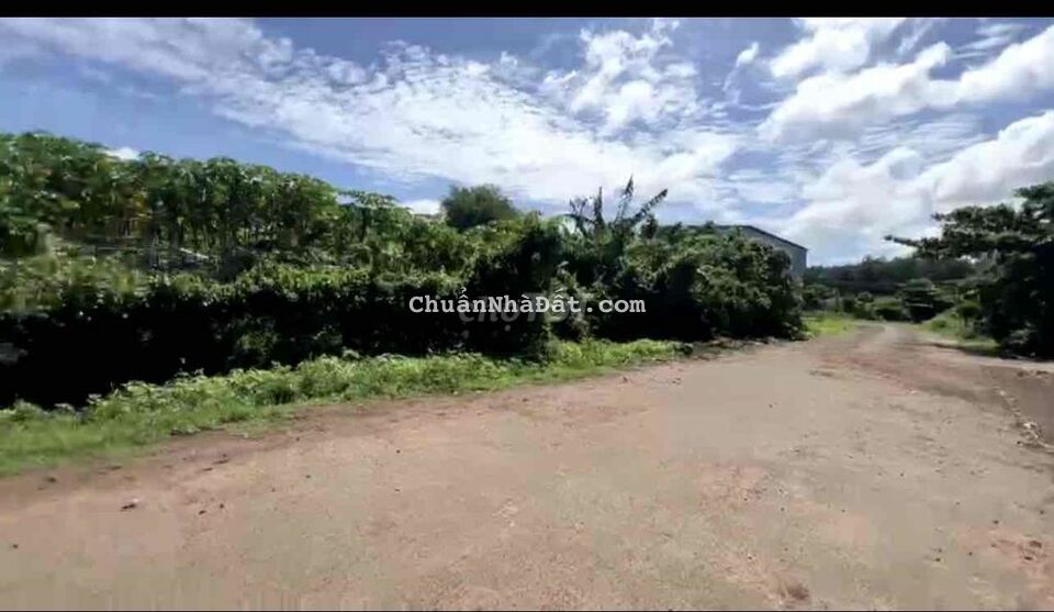 Đất Ngộp Nhơn Trạch,1000m2 giá 1,6 tỷ , sổ sẵn công chứng ngay Đất Ngộp Nhơn Trạch,1000m2 giá 1,6 tỷ , sổ sẵn công chứng ngay