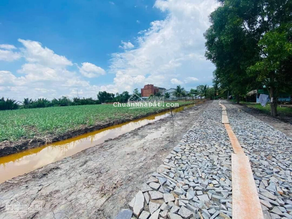 Bán miếng vườn mặt sông Phước Khánh, đường ôtô hiện hữu, về phà Cát Lái 20p. Giá rẻ cho anh chị mua