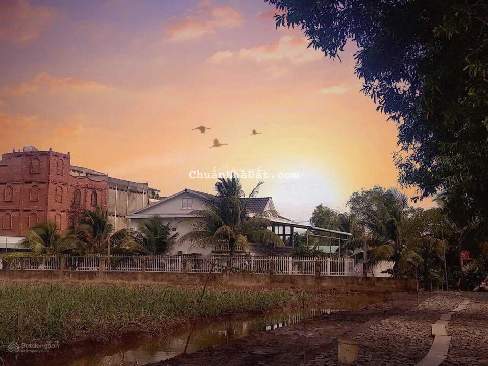 Bán miếng vườn mặt sông Phước Khánh, đường ôtô hiện hữu, về phà Cát Lái 20p. Giá rẻ cho anh chị mua