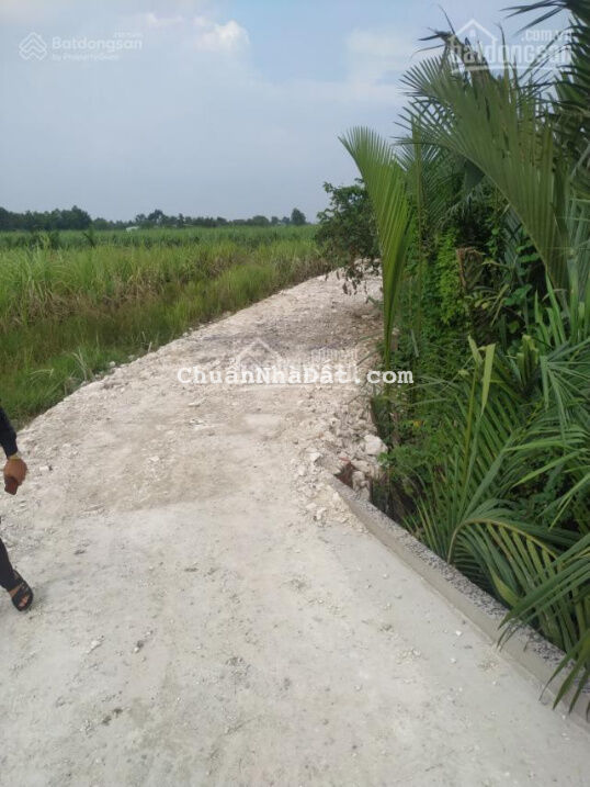 Bán 2 mặt tiền đường Nguyễn Ái Quốc, 3tr/m2 đất CLN khu an toàn, đường xe hơi, cách cầu PK 500m Bán 2 mặt tiền đường Nguyễn Ái Quốc, 3tr/m2 đất CLN khu an toàn, đường xe hơi, cách cầu PK 500m