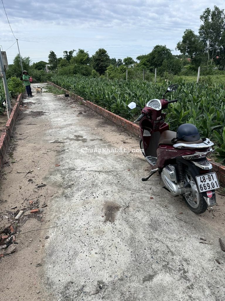 Chủ hạ giá hơn 500tr cho lô đất 335m2 có sẵn 100m thổ cu đ.xe hơi tới Chủ hạ giá hơn 500tr cho lô đất 335m2 có sẵn 100m thổ cu đ.xe hơi tới