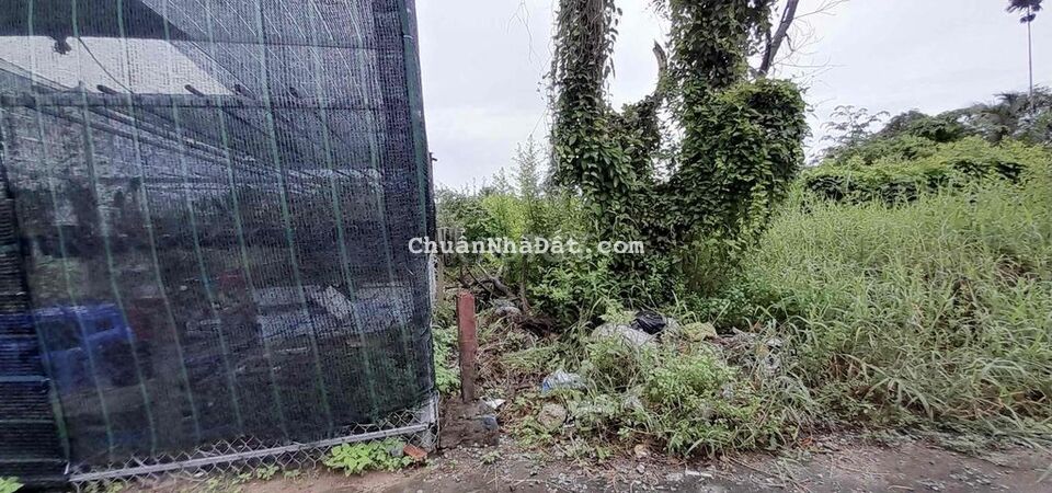 Nền Đẹp 46M2 ODT Đối Diện BV ĐKTW