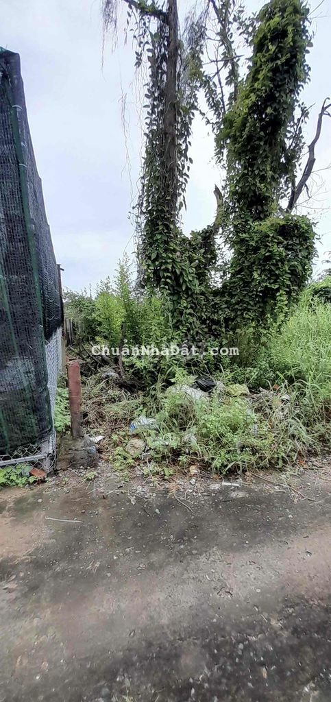 Nền Đẹp 46M2 ODT Đối Diện BV ĐKTW