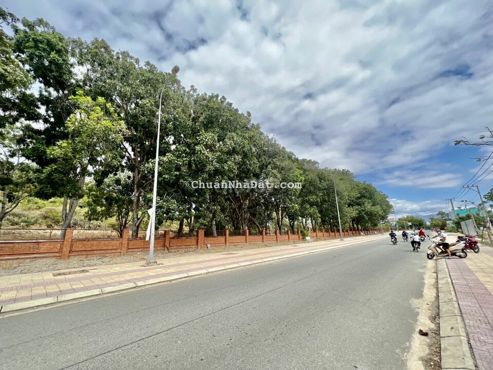 Hàng Hiếm: Bán đất khu đô thị sân bay Thành Sơn ( Tặng kèm móng) Hàng Hiếm: Bán đất khu đô thị sân bay Thành Sơn ( Tặng kèm móng)