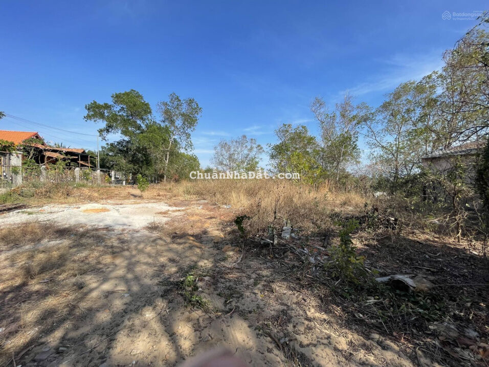 Bán 1000m2 view biển Nguyễn Đình Chiểu, Hàm Tiến