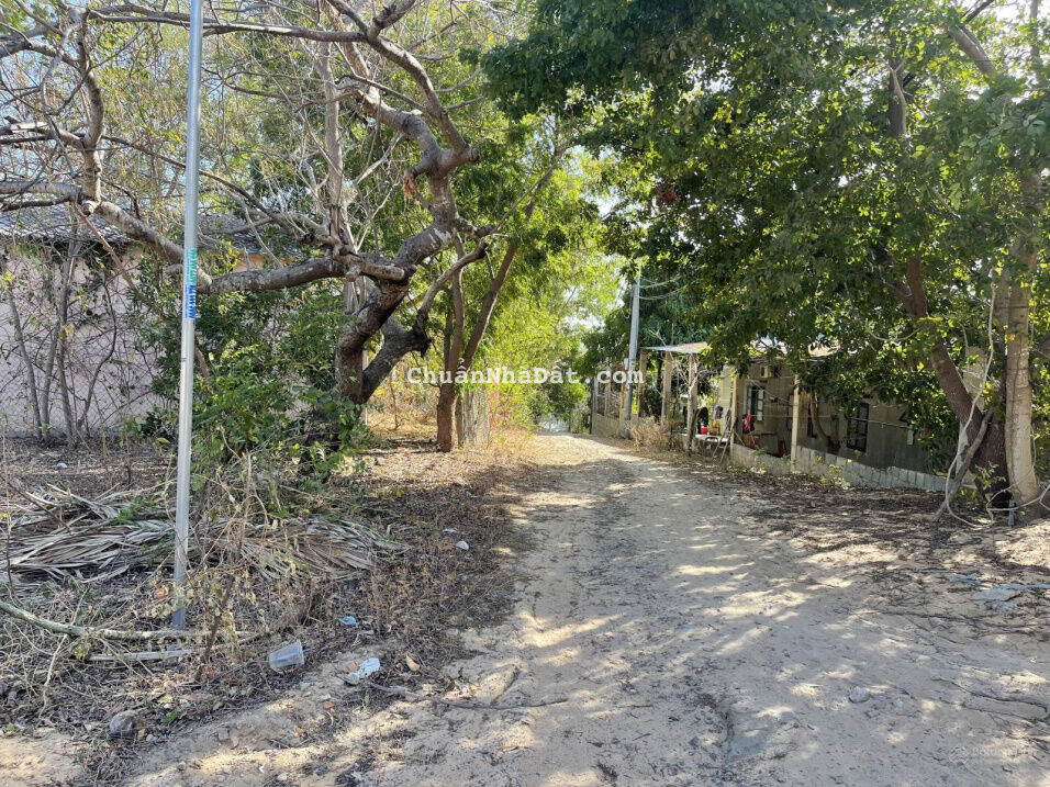 Bán 1000m2 view biển Nguyễn Đình Chiểu, Hàm Tiến