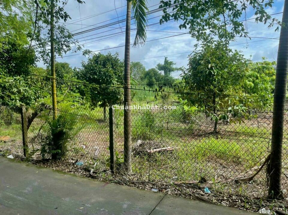 Nền thổ cư 100m2 lộ ô tô cách chợ Bông Vang 500m. Giá ngộp Nền thổ cư 100m2 lộ ô tô cách chợ Bông Vang 500m. Giá ngộp