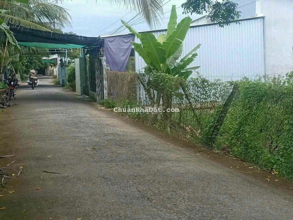 BÁN NỀN BIỆT THỰ NHƠN NGHĨA PHONG ĐIỀN CẦN THƠ