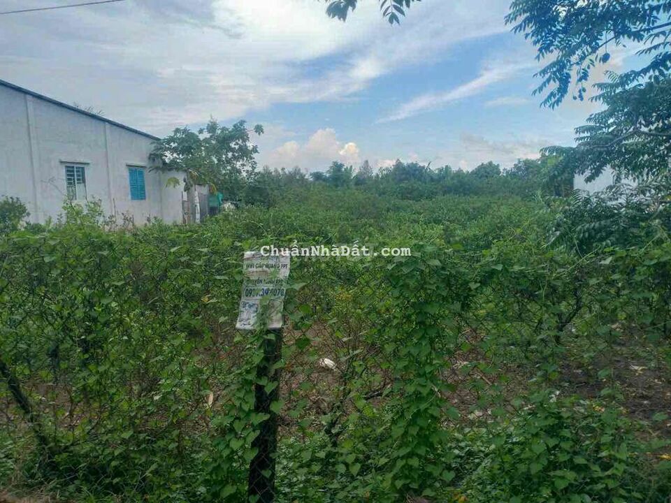 BÁN NỀN BIỆT THỰ NHƠN NGHĨA PHONG ĐIỀN CẦN THƠ