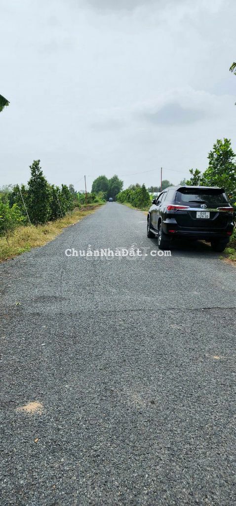 Hàng độc quyền Vàm Bi Trường Long PĐ, giá tốt, có thổ, lộ tải 15 tấn