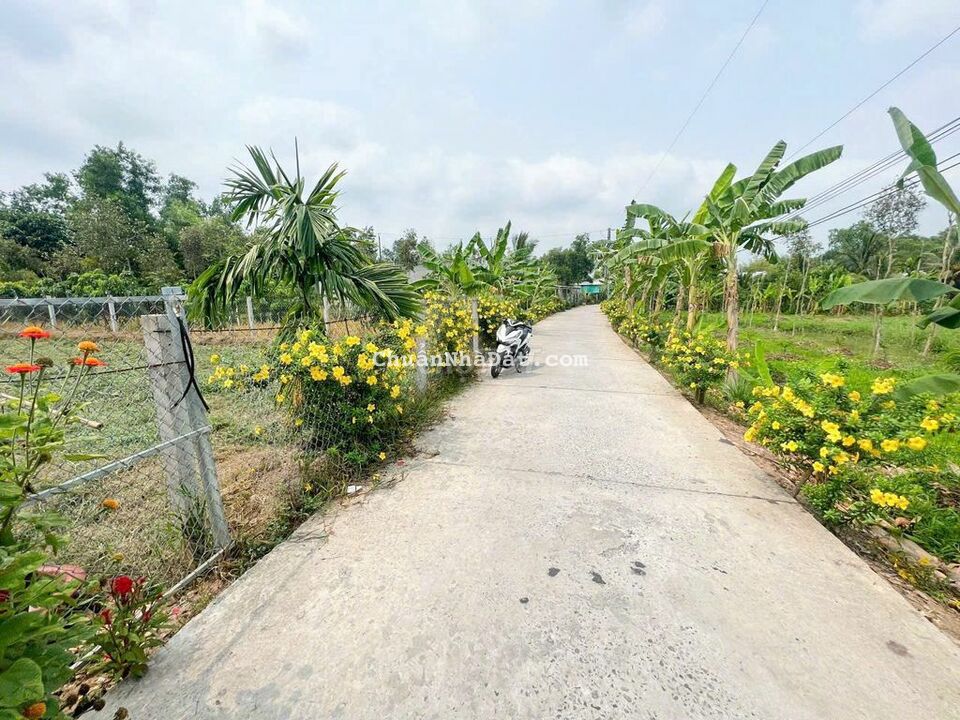 Bán 360m2 (10m x 36m), có 300 thổ cư - Lộ 4m, Rạch Sung, gần QL 61C