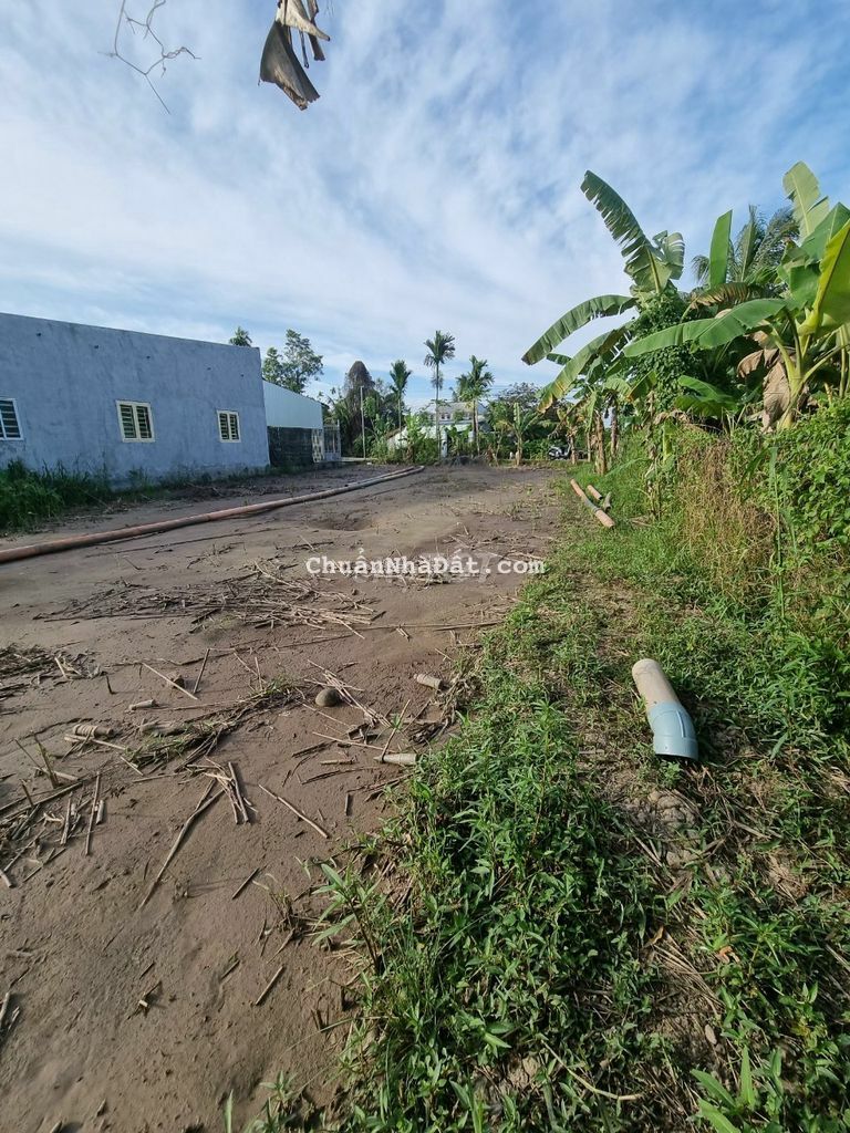 Nền đẹp biệt thự vườn 14x26 lộ ô tô giá đầu tư chốt nhanh Nền đẹp biệt thự vườn 14x26 lộ ô tô giá đầu tư chốt nhanh