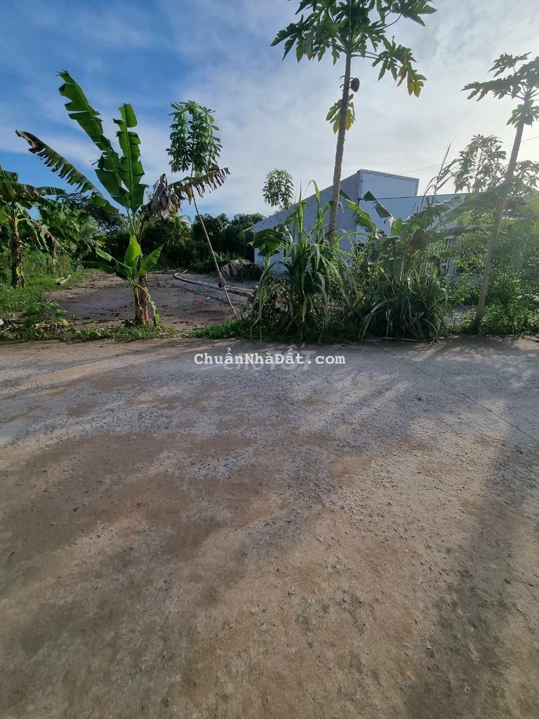 Nền đẹp biệt thự vườn 14x26 lộ ô tô giá đầu tư chốt nhanh Nền đẹp biệt thự vườn 14x26 lộ ô tô giá đầu tư chốt nhanh