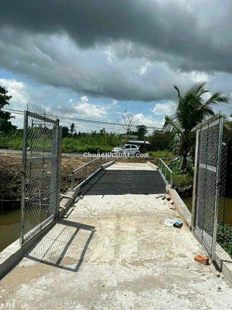 BÁN VƯỜN 7187M2 NỞ HẬU ĐANG TRỒNG SẦU RIÊNG CHUẨN BỊ CÓ THU NHẬP 400TR