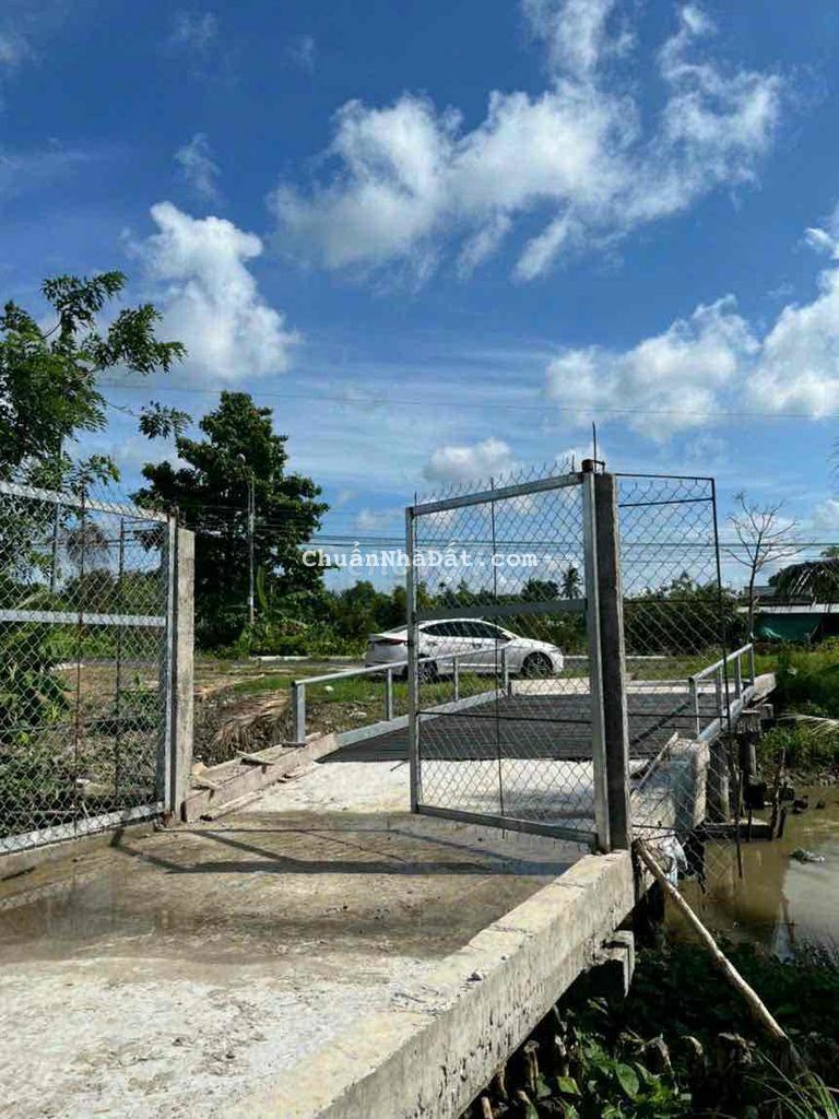 BÁN VƯỜN 7187M2 NỞ HẬU ĐANG TRỒNG SẦU RIÊNG CHUẨN BỊ CÓ THU NHẬP 400TR