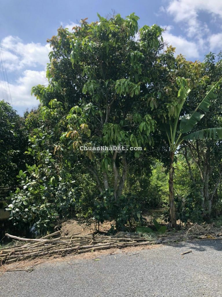 Hàng đầu tư mềm nhất khu vực. Lộ nhựa 8m Hàng đầu tư mềm nhất khu vực. Lộ nhựa 8m