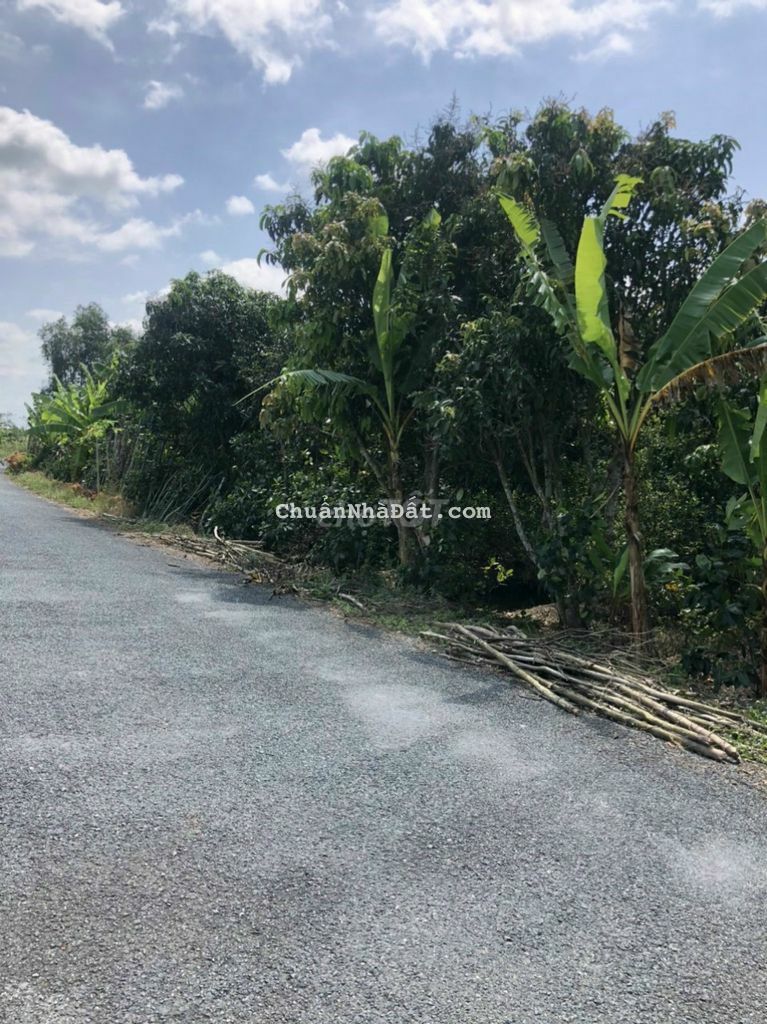 Hàng đầu tư mềm nhất khu vực. Lộ nhựa 8m Hàng đầu tư mềm nhất khu vực. Lộ nhựa 8m