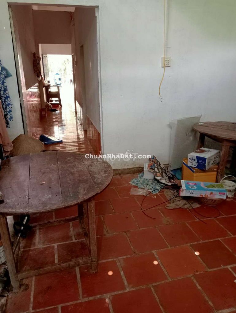 800m² đất trồng rau nuôi gà 800m² đất trồng rau nuôi gà