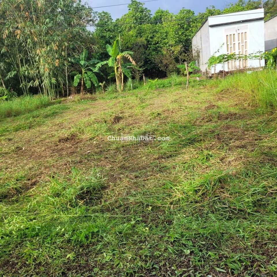 Cắt lỗ hơn 200tr so với 2022 bán gỡ vốn nền gần chợ Vàm Xáng Cắt lỗ hơn 200tr so với 2022 bán gỡ vốn nền gần chợ Vàm Xáng