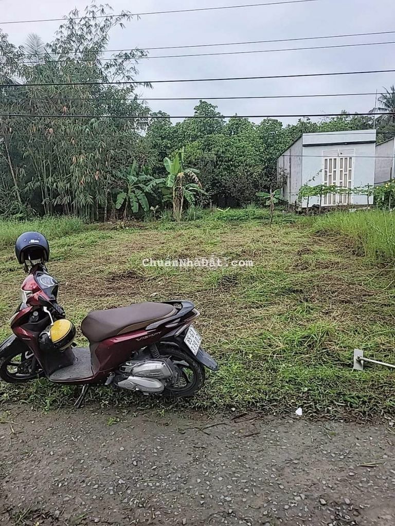 Cắt lỗ hơn 200tr so với 2022 bán gỡ vốn nền gần chợ Vàm Xáng Cắt lỗ hơn 200tr so với 2022 bán gỡ vốn nền gần chợ Vàm Xáng