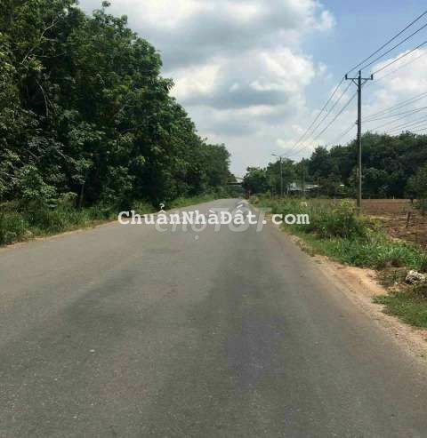 Đất nền đường DH 507 xã Tân Hiệp 12 x 97 Giá 2,1 tỷ Đất nền đường DH 507 xã Tân Hiệp 12 x 97 Giá 2,1 tỷ