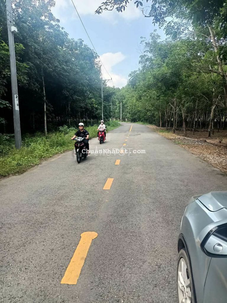 Đất Sào đường DH 513 xã Vĩnh Hòa 6200m Giá 6,2 tỷ