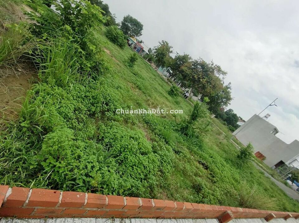 Ngộp Bank cắt lỗ 100m² full thổ SHR Trung tâm Phú Mỹ 1,1tỷ