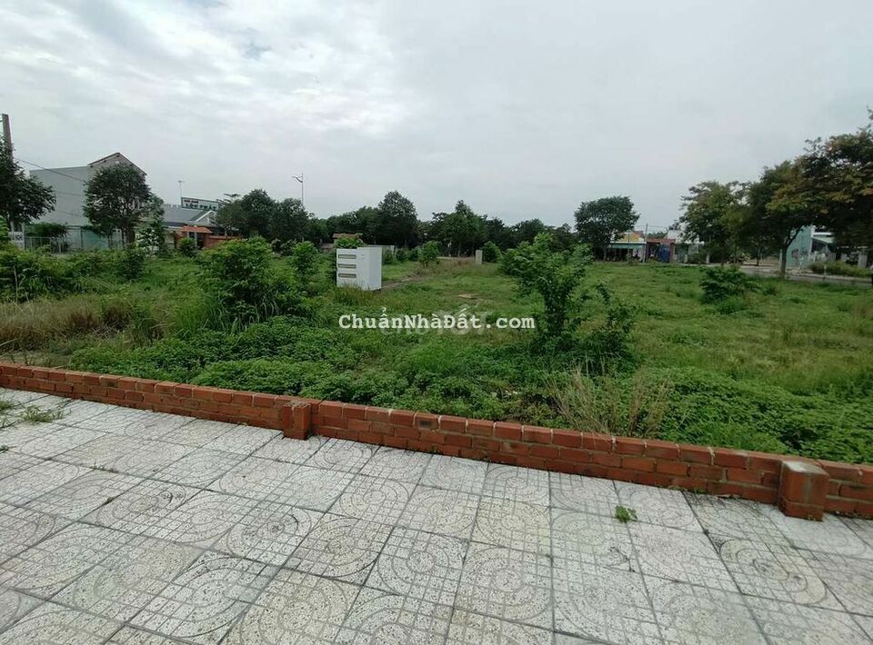 Kẹt bank bán gấp 100m² đất thổ vườn , Vòng xoay Hắc Dịch sổ sẵn 800Tr